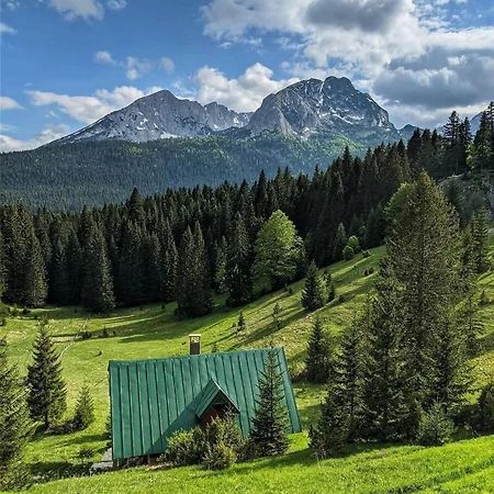 Magic Mountain Villa Žabljak Eksteriør billede