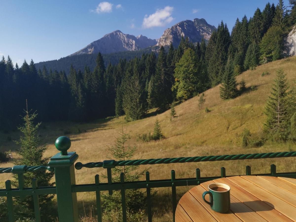 Magic Mountain Villa Žabljak Eksteriør billede