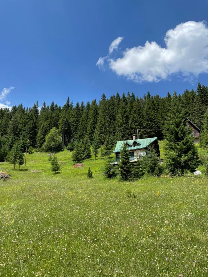 Magic Mountain Villa Žabljak Eksteriør billede