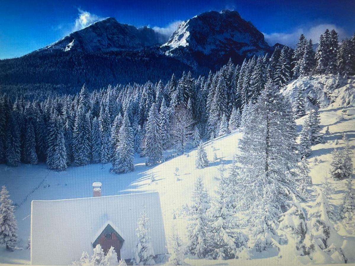Magic Mountain Villa Žabljak Eksteriør billede