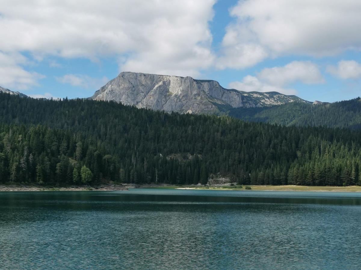 Magic Mountain Villa Žabljak Eksteriør billede