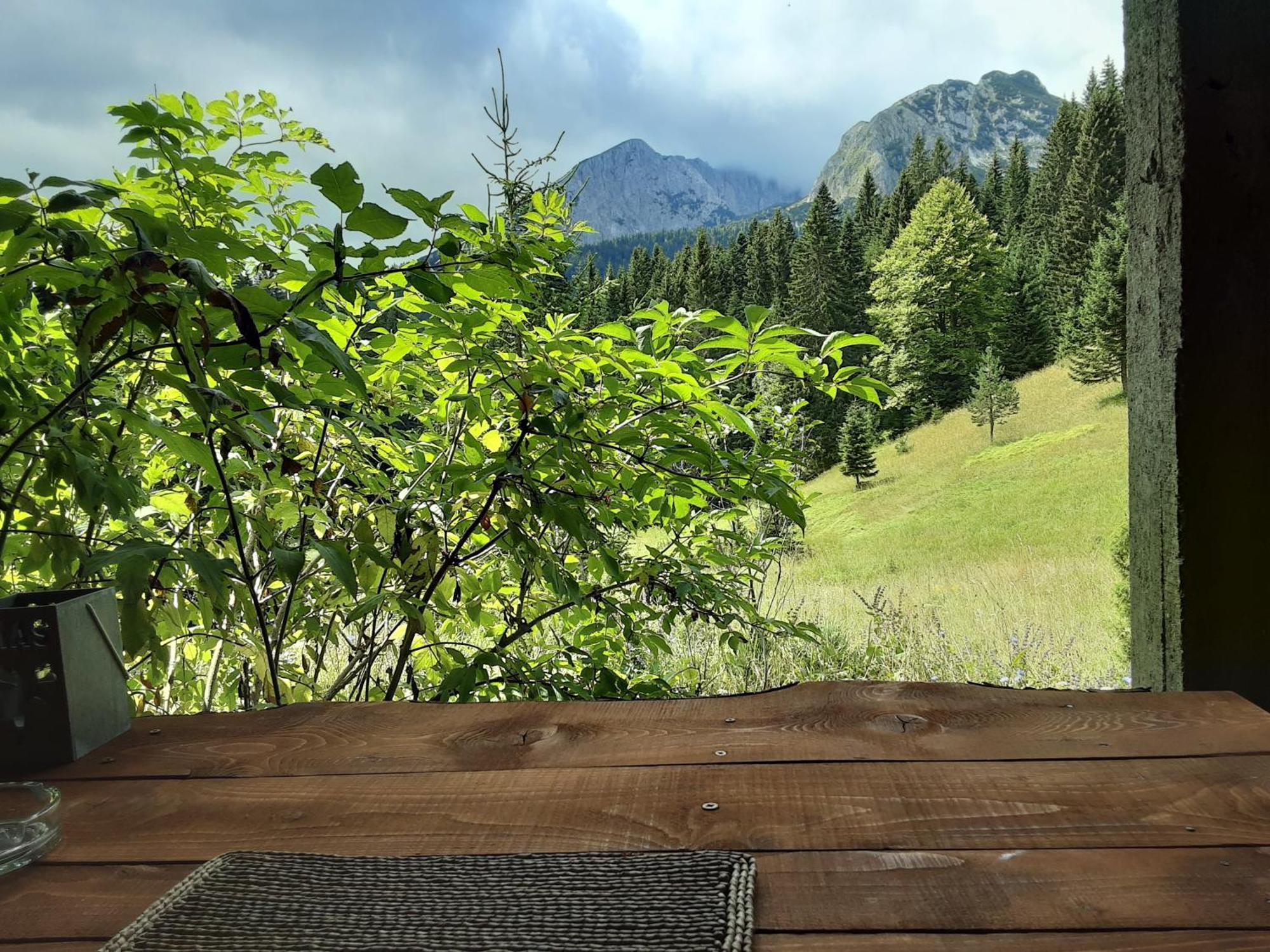 Magic Mountain Villa Žabljak Eksteriør billede