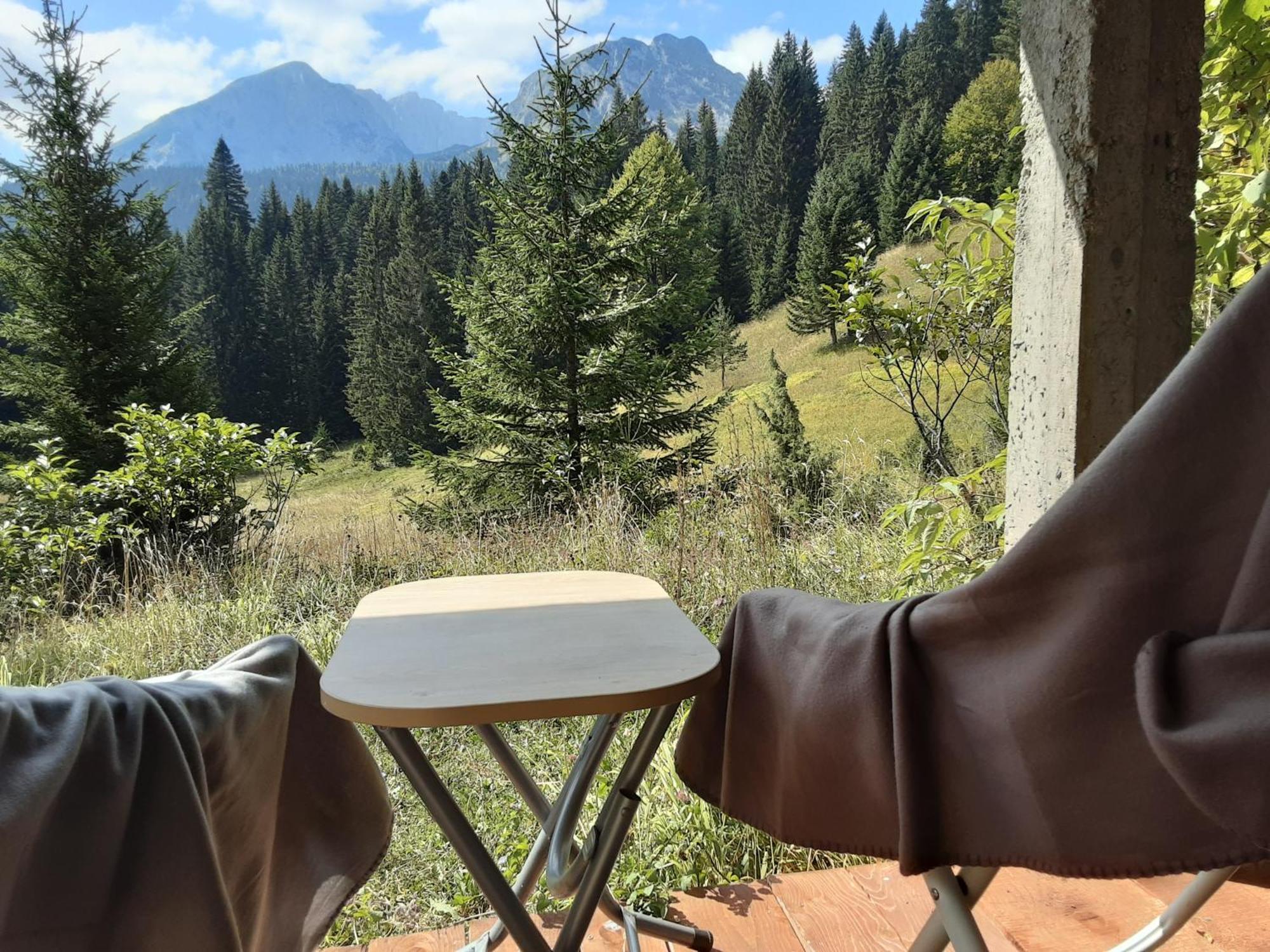 Magic Mountain Villa Žabljak Eksteriør billede