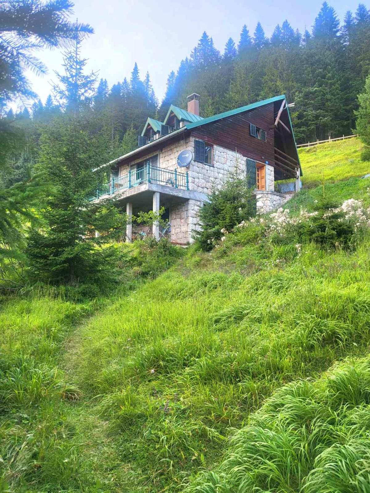 Magic Mountain Villa Žabljak Eksteriør billede