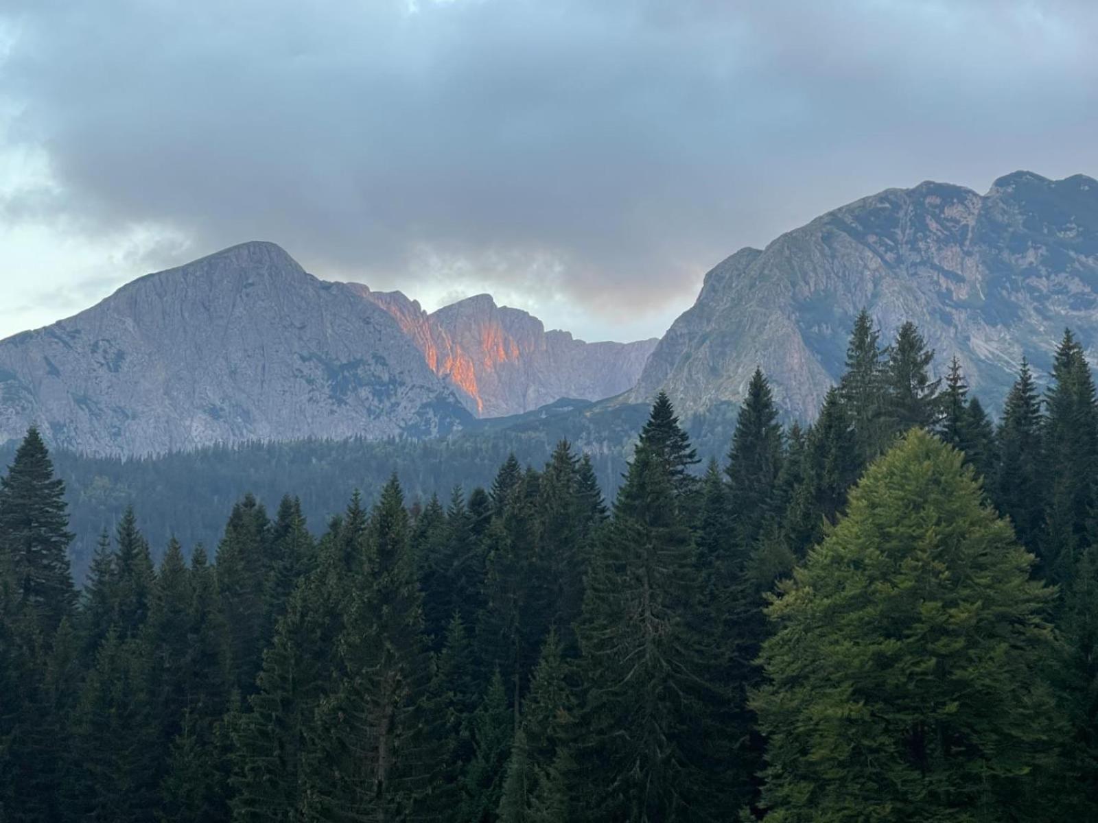Magic Mountain Villa Žabljak Eksteriør billede